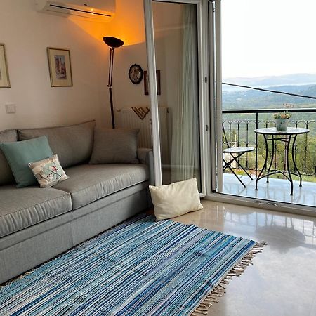Schoenes Familienappartement In Pelekas, Corfu Mit Meerblick Dış mekan fotoğraf